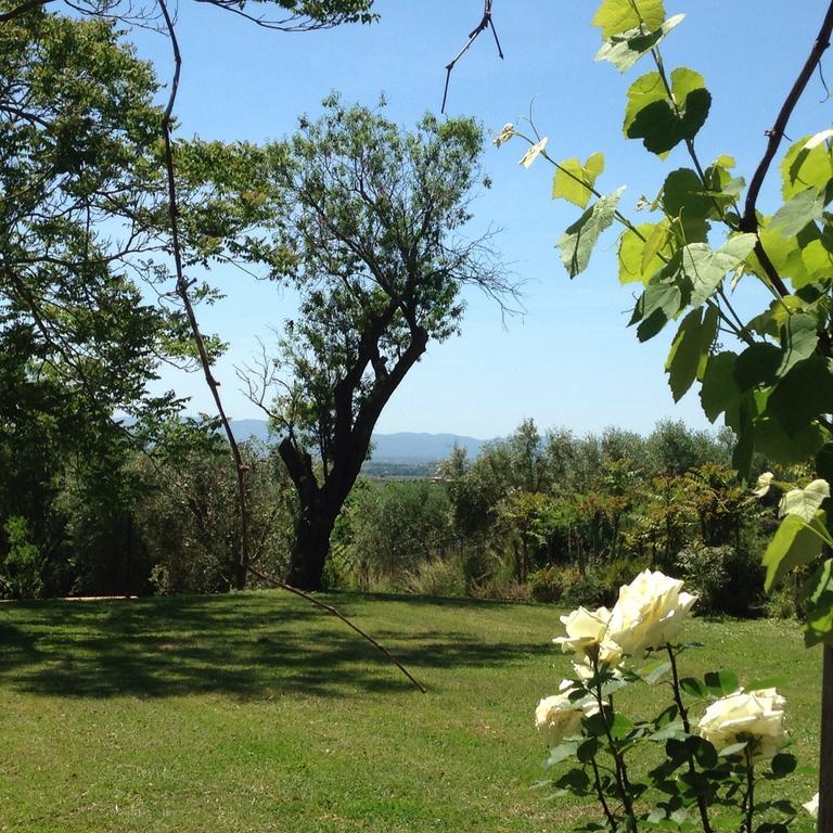 Residenza Santa Maria In Borraccia Bed & Breakfast Magliano in Toscana Exterior photo